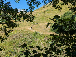 PXL 20230811 095911418